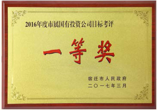 2016年度市屬國有投資公司目標(biāo)考核一等獎(jiǎng)