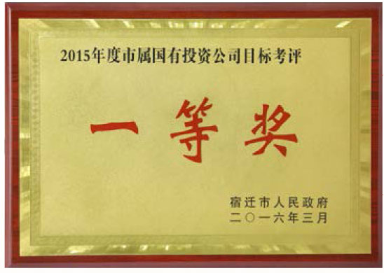 2015年度市屬國有投資公司目標(biāo)考核一等獎(jiǎng)